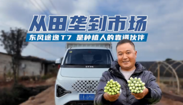 稳稳的幸福，东风途逸T7成为“最踏实”伙伴