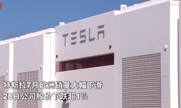 中国新能源汽车加速出海，比亚迪欧洲市场份额超越特斯拉
