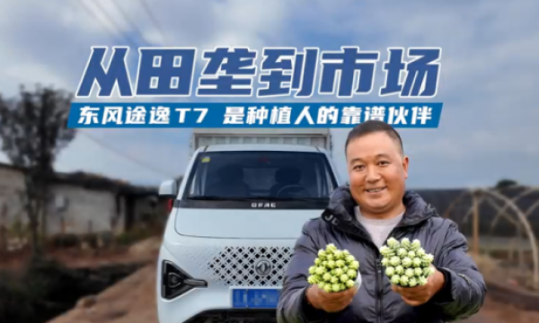 稳稳的幸福，东风途逸T7成为“最踏实”伙伴