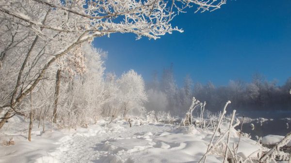 局地将达-40℃，黑龙江东部大部地区日最低气温接近或低于历史同期